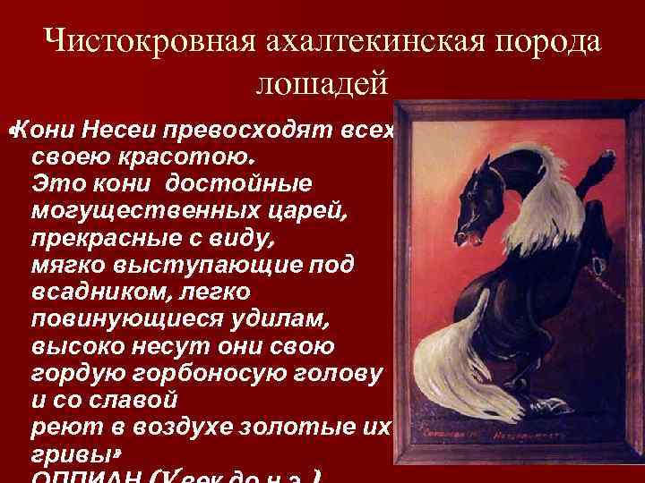 Чистокровная ахалтекинская порода лошадей «Кони Несеи превосходят всех своею красотою. Это кони достойные могущественных