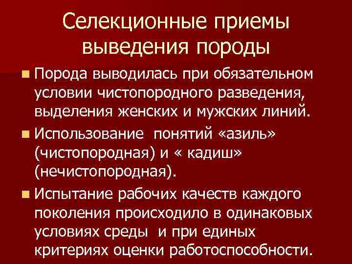Селекционные приемы выведения породы n Порода выводилась при обязательном условии чистопородного разведения, выделения женских