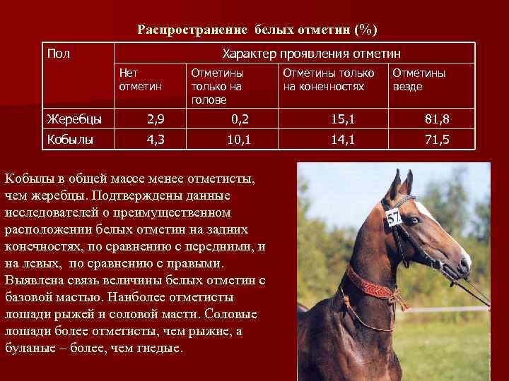 Распространение белых отметин (%) Пол Характер проявления отметин Нет отметин Отметины только на голове