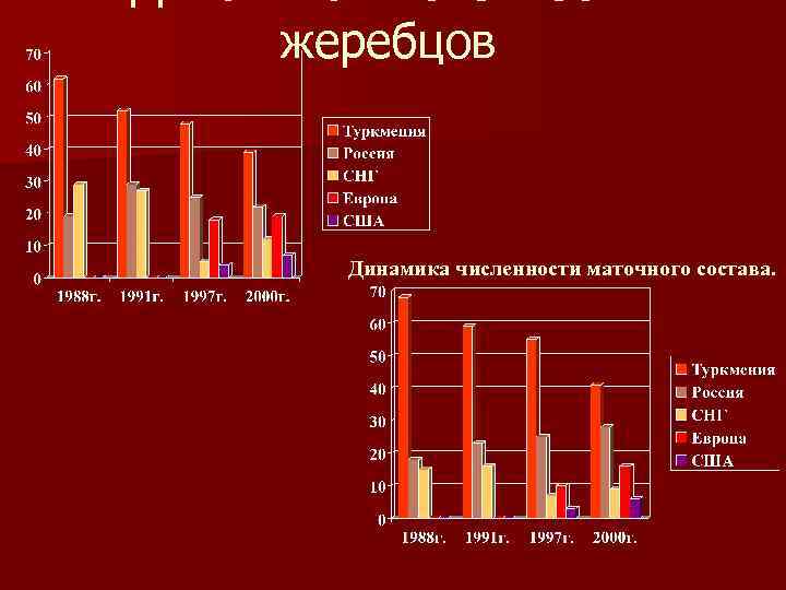 Динамика численности жеребцов Динамика численности маточного состава. 