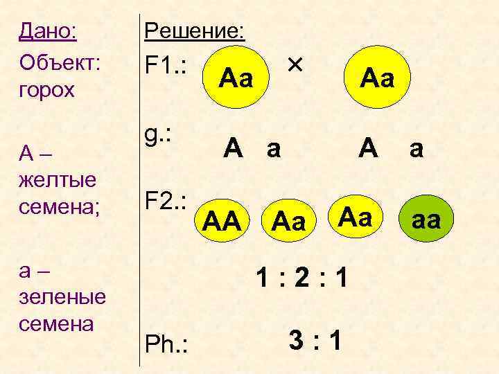 Дано: Объект: горох А– желтые семена; а– зеленые семена Решение: F 1. : g.