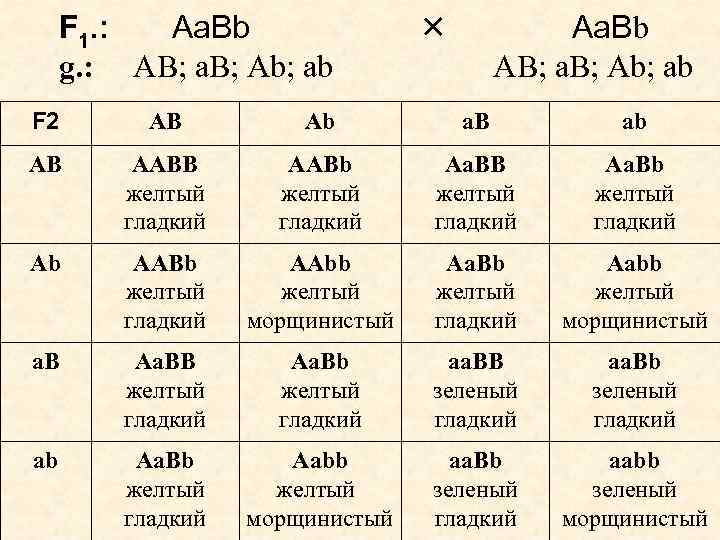 F 1. : Аа. Вb g. : АВ; а. В; Аb; ab Аа. Вb