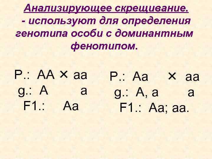 Анализирующее скрещивание. - используют для определения генотипа особи с доминантным фенотипом. Р. : АА