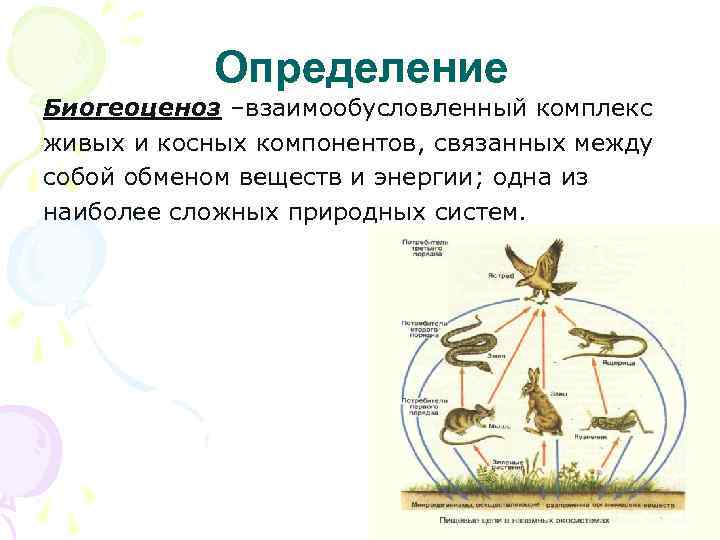 Определение Биогеоценоз –взаимообусловленный комплекс живых и косных компонентов, связанных между собой обменом веществ и