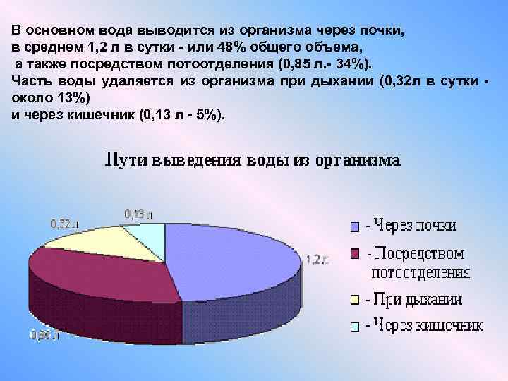 В основном вода выводится из организма через почки, в среднем 1, 2 л в