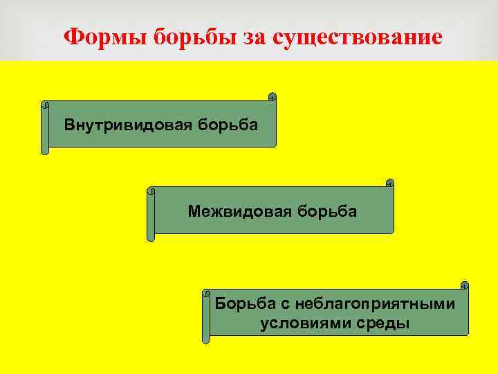 Формы борьбы за существование Внутривидовая борьба Межвидовая борьба Борьба с неблагоприятными условиями среды 