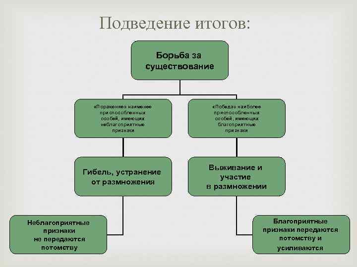 Подведение итогов: Борьба за существование «Поражение» наименее приспособленных особей, имеющих неблагоприятные признаки «Победа» наиболее