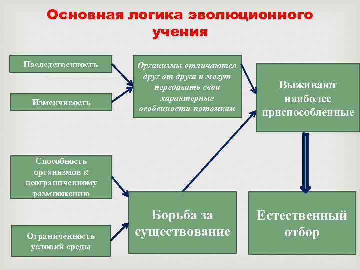 Основная логика эволюционного учения Наследственность Изменчивость Организмы отличаются друг от друга и могут передавать