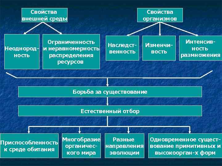Свойства внешней среды Свойства организмов Ограниченность Неоднород- и неравномерность распределения ресурсов Наследственность Изменчивость Интенсивность