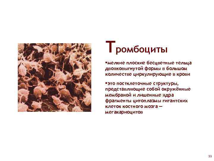 Тромбоциты §мелкие плоские бесцветные тельца двояковыгнутой формы в большом количестве циркулирующие в крови §это