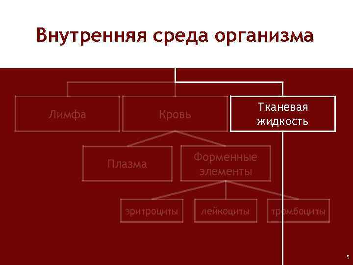 Внутренняя среда организма Лимфа Тканевая жидкость Кровь Плазма эритроциты Форменные элементы лейкоциты тромбоциты 5