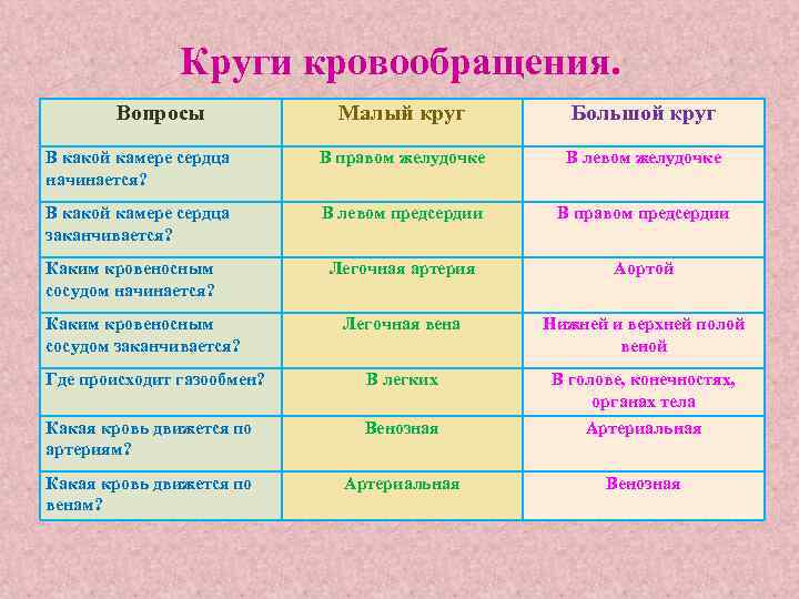 Круги кровообращения. Вопросы Малый круг Большой круг В какой камере сердца начинается? В правом
