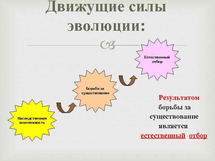 Движущие силы эволюции: Естественный отбор Борьба за существование Наследственная изменчивость Результатом борьбы за существование