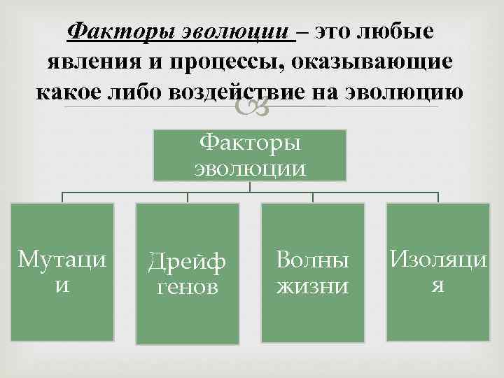 Схема движущие силы эволюции