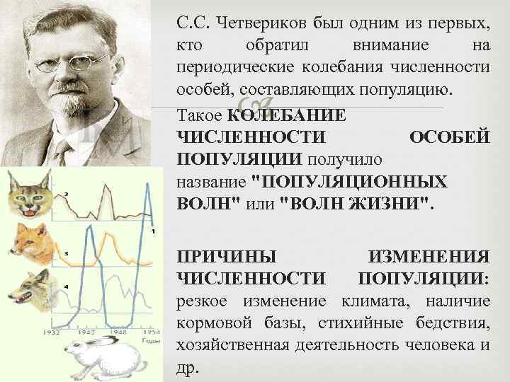 Кто обратил логана фелла