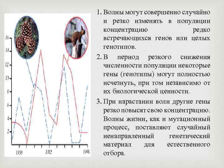 Единый план строения органов тип доказательства эволюции