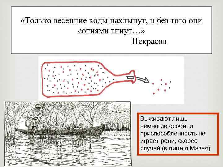 Схема движущие силы эволюции