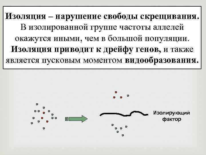 Изоляция – нарушение свободы скрещивания. В изолированной группе частоты аллелей окажутся иными, чем в