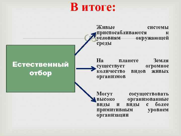 В итоге: Живые системы приспосабливаются к условиям окружающей среды Естественный отбор На планете Земля