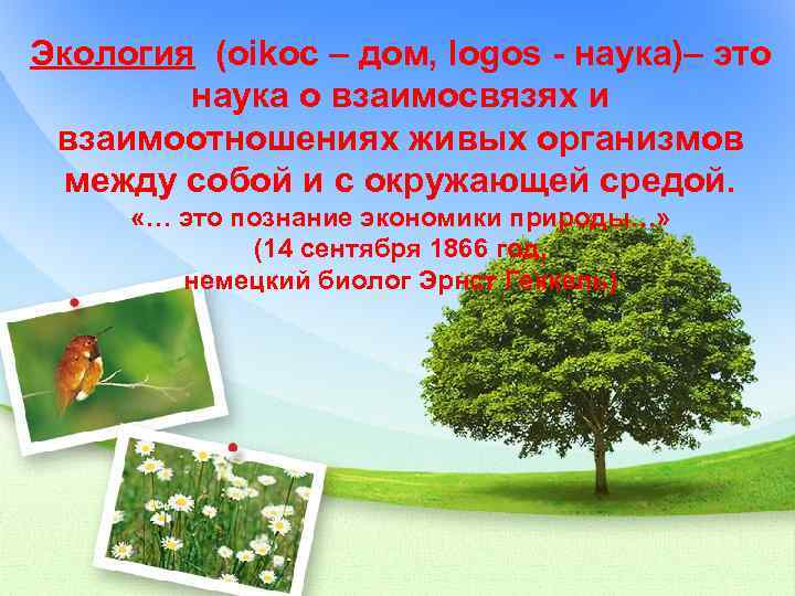Экология (oikoc – дом, logos - наука)– это наука о взаимосвязях и взаимоотношениях живых