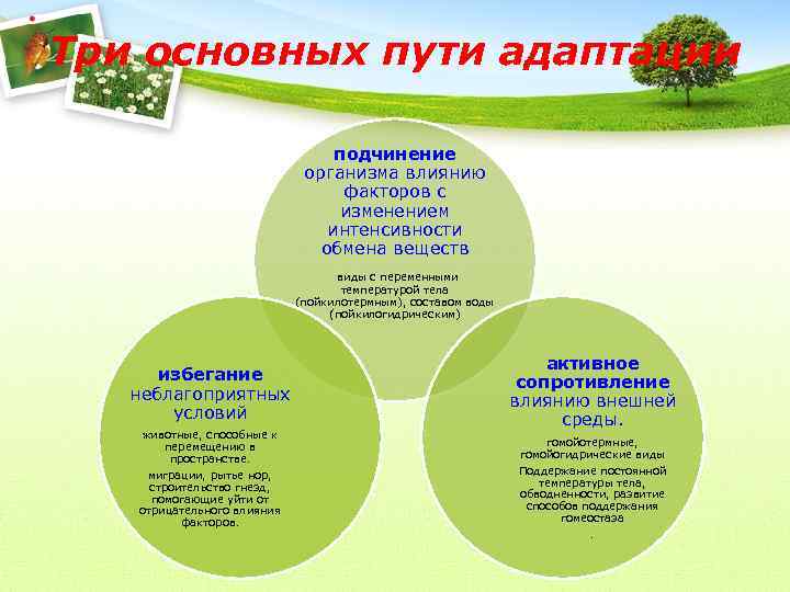 Три основных пути адаптации подчинение организма влиянию факторов с изменением интенсивности обмена веществ виды