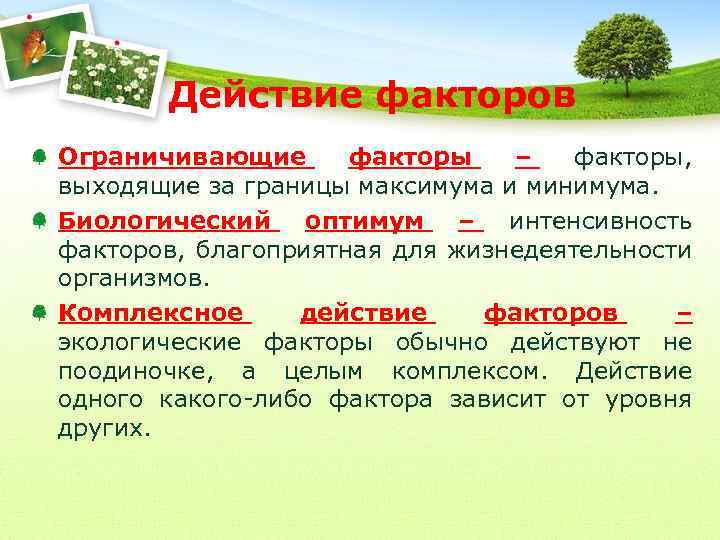 Действие факторов Ограничивающие факторы – факторы, выходящие за границы максимума и минимума. Биологический оптимум
