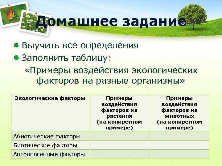 Домашнее задание Выучить все определения Заполнить таблицу: «Примеры воздействия экологических факторов на разные организмы»