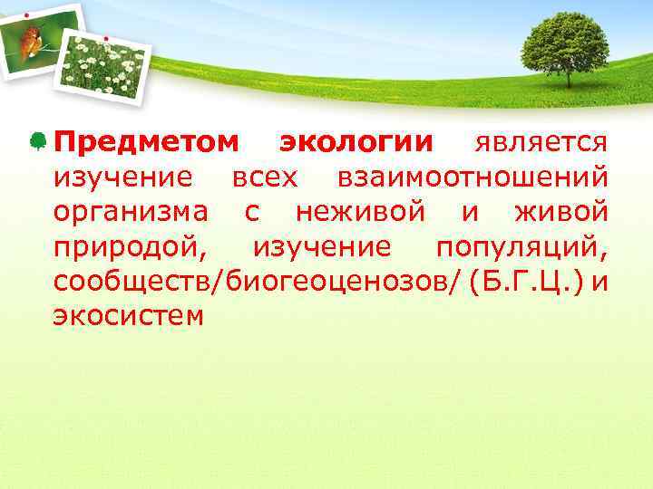 Предметом экологии является изучение всех взаимоотношений организма с неживой и живой природой, изучение популяций,