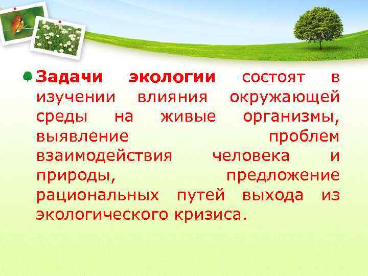 Задачи экологии состоят в изучении влияния окружающей среды на живые организмы, выявление проблем взаимодействия