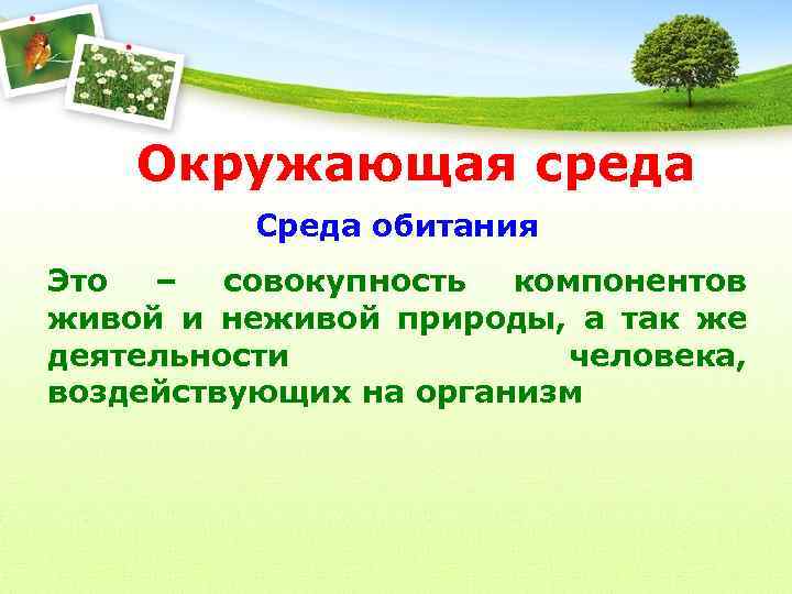 Окружающая среда Среда обитания Это – совокупность компонентов живой и неживой природы, а так