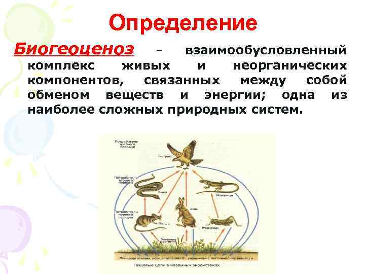 Определение Биогеоценоз – взаимообусловленный комплекс живых и неорганических компонентов, связанных между собой обменом веществ
