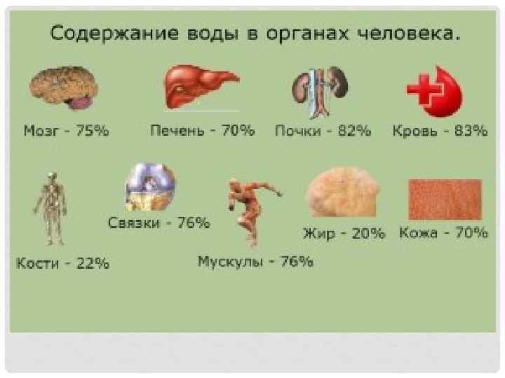 HTTP: //FLAVITE. RU/ИММУНИТЕТ И НАШЕ ЗДОРОВЬЕ. ОЛЬГА ПОБУДЕЙ 