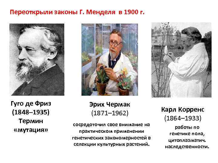 Переоткрыли законы Г. Менделя в 1900 г. Гуго де Фриз (1848– 1935) Термин «мутация»