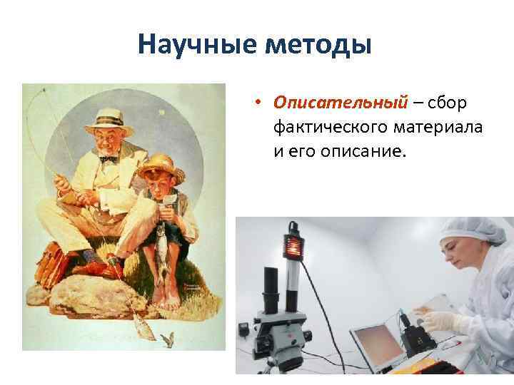 Научные методы • Описательный – сбор фактического материала и его описание. 