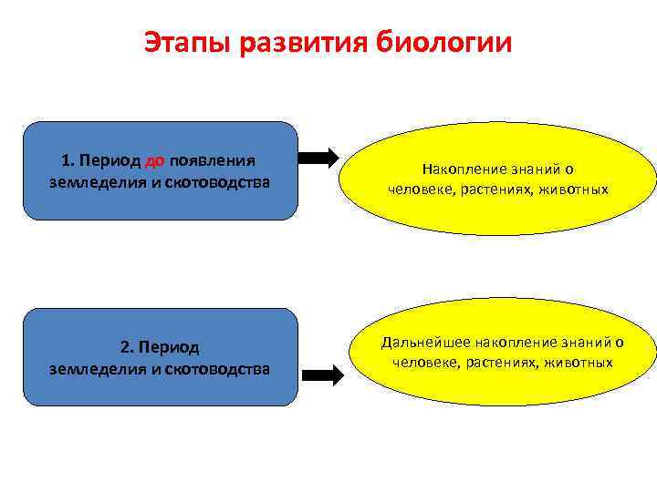 Этапы развития биологии 1. Период до появления земледелия и скотоводства 2. Период земледелия и