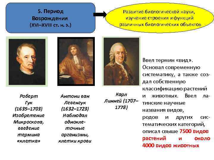 5. Период Возрождения (ХVІ–XVІІІ ст. н. э. ) Роберт Гук (1635– 1703) Изобретение Микроскопа,