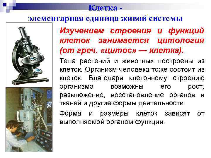Клетка элементарная единица живой системы Изучением строения и функций клеток занимается цитология (от греч.
