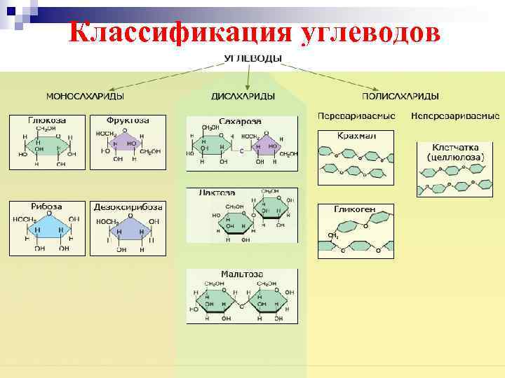 Классификация углеводов 
