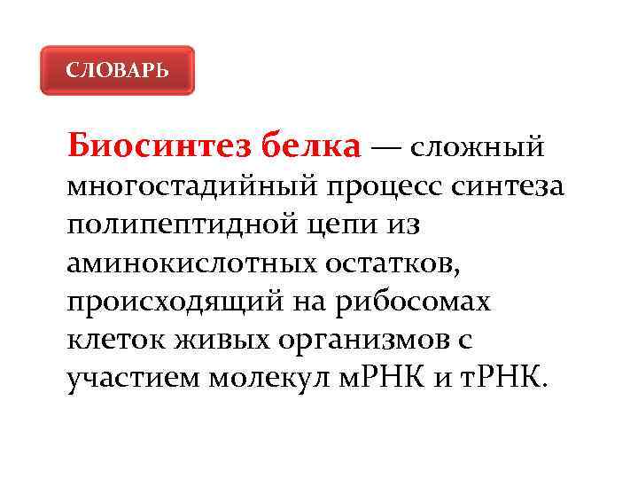 СЛОВАРЬ Биосинтез белка — сложный многостадийный процесс синтеза полипептидной цепи из аминокислотных остатков, происходящий