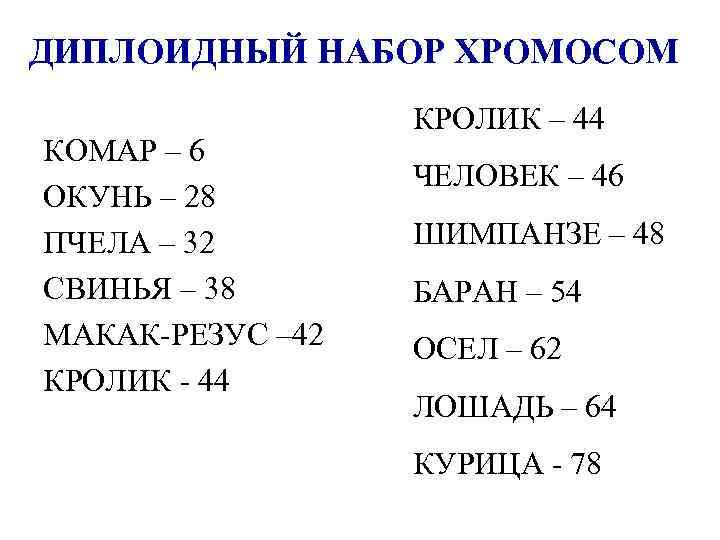 ДИПЛОИДНЫЙ НАБОР ХРОМОСОМ КОМАР – 6 ОКУНЬ – 28 ПЧЕЛА – 32 СВИНЬЯ –