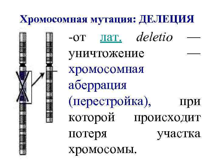 Хромосомная мутация: ДЕЛЕЦИЯ -от лат. deletio — уничтожение — хромосомная аберрация (перестройка), при которой