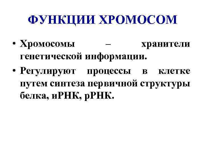 ФУНКЦИИ ХРОМОСОМ • Хромосомы – хранители генетической информации. • Регулируют процессы в клетке путем