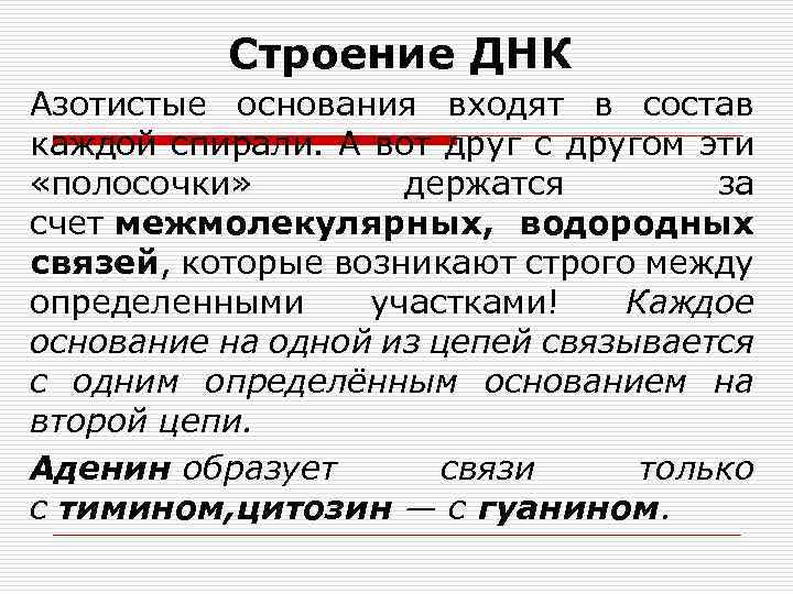 Строение ДНК Азотистые основания входят в состав каждой спирали. А вот друг с другом