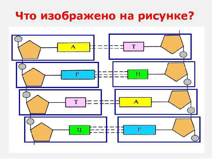 Что изображено на рисунке? 
