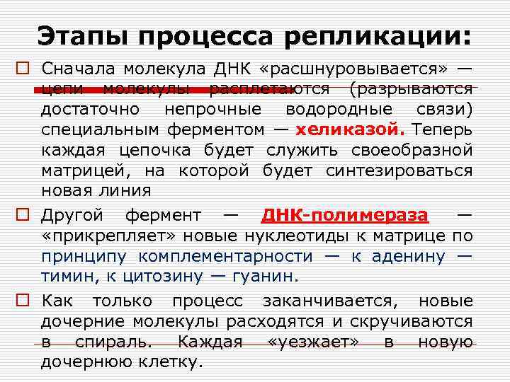 Этапы процесса репликации: o Сначала молекула ДНК «расшнуровывается» — цепи молекулы расплетаются (разрываются достаточно
