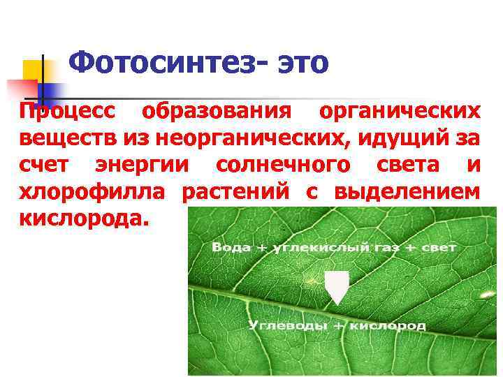 Появление на фоне гипертонического криза обильной пенистой розовой мокроты является