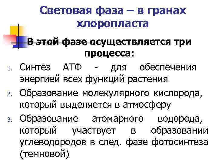 Световая фаза – в гранах хлоропласта 1. 2. 3. В этой фазе осуществляется три