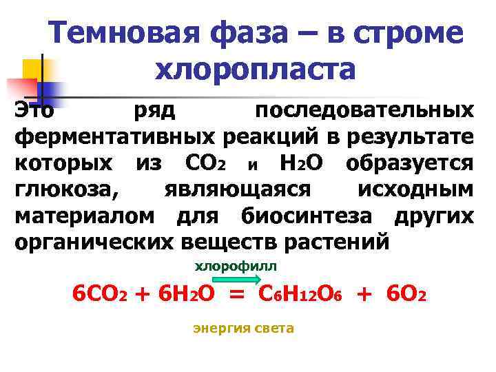 Темновая фаза – в строме хлоропласта Это ряд последовательных ферментативных реакций в результате которых