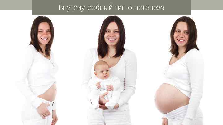 Внутриутробный тип онтогенеза 