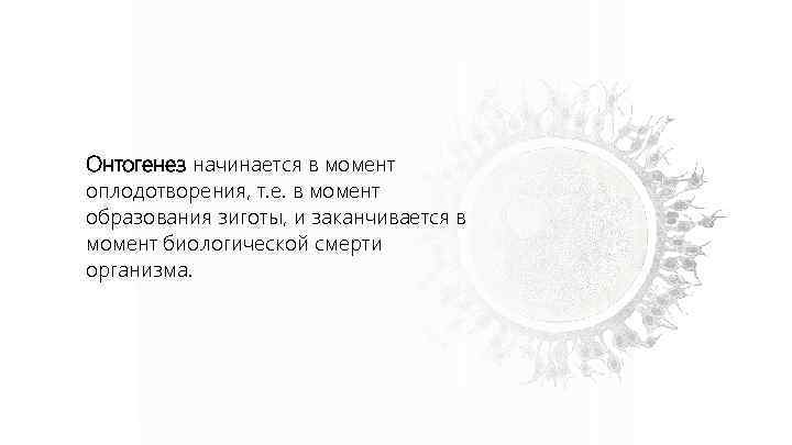 Онтогенез начинается в момент оплодотворения, т. е. в момент образования зиготы, и заканчивается в